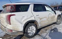 هيونداي باليسيد